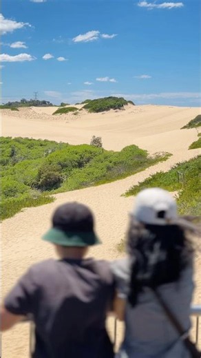 Mini Sand Dunes in Cronulla 🇦🇺 #family #roadtrip #sanddunes #travel #journey #australia #cronulla