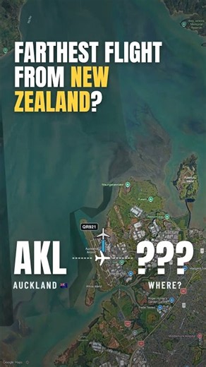 The longest flight from New Zealand 🇳🇿✈️ #shorts