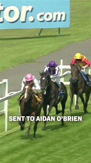 SO YOU THINK Wins an Epic Coral-Eclipse!
