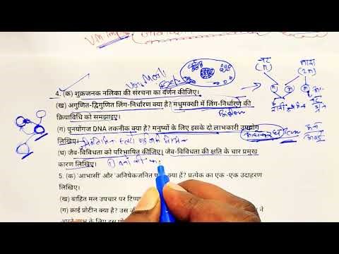 Bio ka Paper | Class 12th biology sample paper 2026 | biology ka model paper 2026 class 12 up board