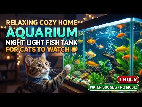 Amazing Videos for Cats to Watch Fish Tank 1 Hours Relaxing Aquarium Water Sounds No Music Daily Fun