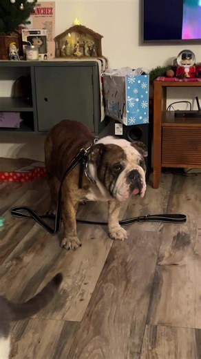 Celebrating New Year's with Canelo's Brother Compa