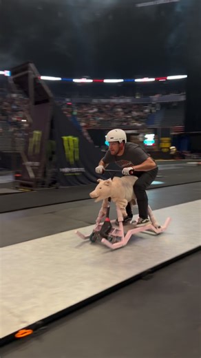 When pigs fly…🐷 | Nitro Circus