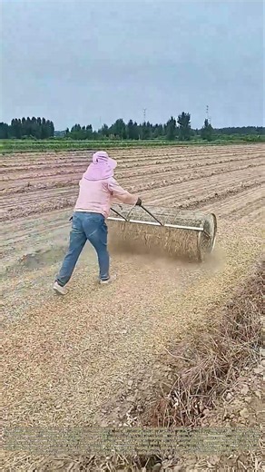 Rolling Seeds Forward: How Hand-Pushed Wire Drums Simplify Small Plot Planting
