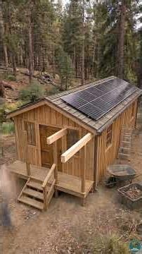 Restoring a Broken Pine Forest Shelter into a Rustic Survival Cabin