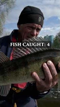 The answer might surprise you! 🐟