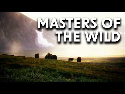 These Animals Perfected Living in the Wild | Masters of the Wild | Documentary