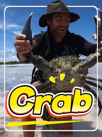 Is this crab safe to eat!#usa #popular #science #crab | crab