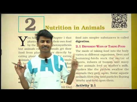 NCERT Class 7 Science Chapter 2 | Nutrition in Animals - Full Explanation line by line | CBSE | KVS