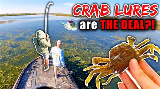 Why trophy bass love crab lures in pressured waters