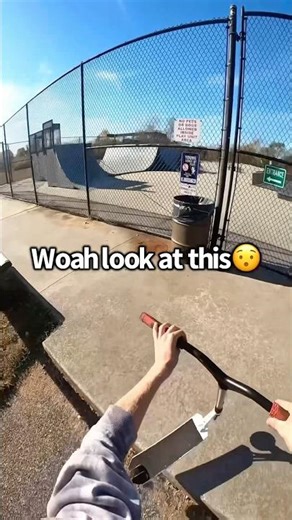 No Scooters Allowed! 🚫🛴 Roman Dellapena #shorts #shortvideo #skatepark #sports #skate #scooter