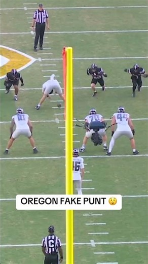 Ducks with the trickery on New Year's Day 🔥