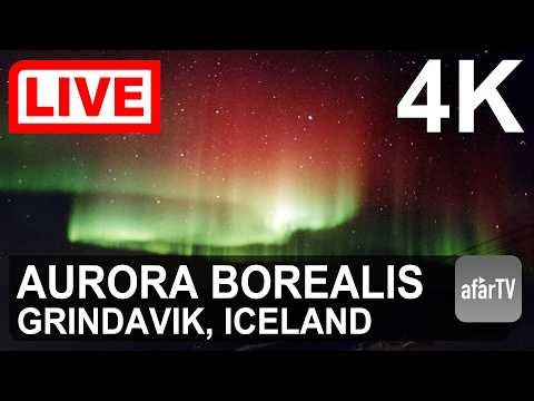 🔴 Live Now: Clear Skies Over Iceland — Northern Lights Live Tonight (4K)