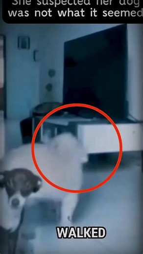 Skinwalker captured in camera📸💀. #short #shorts #horror #scary #ghost