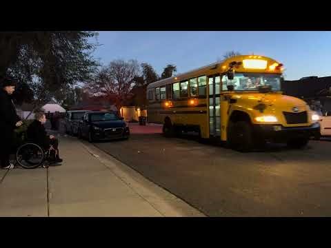 Cool Monday Sagan bus