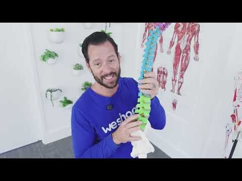 Stronger Core For Beginners