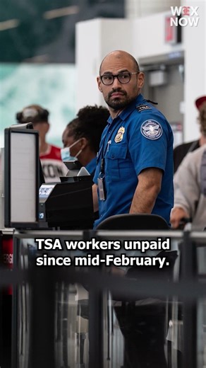 TSA officers to be paid as early as Monday, Homan says