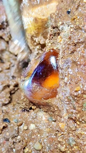 Rainbow Beach's Crystal Secrets, but beneath the sand lies a secret world of crystals.