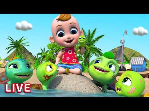 Playtime on the Beach ⛅🌴 | Beach Song | Fun Outdoor Family Cartoons for Kids