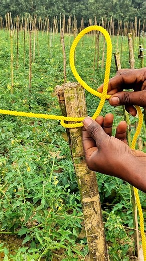 Simple Rope knots Hack Use by Builders Worldwide.!