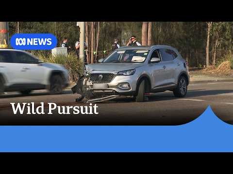 Police pursuit and carjacking wreak havoc across Western Sydney | ABC NEWS