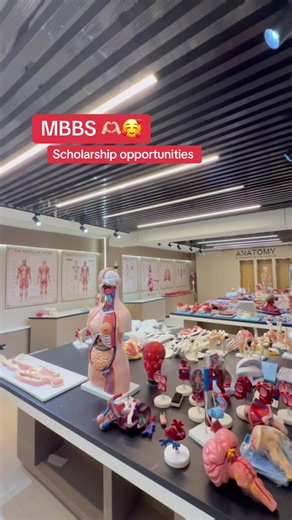 MBBS Scholarship Opportunities: How to Find and Apply