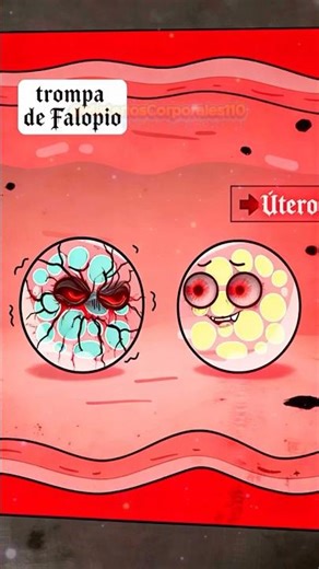 👶¿Es posible que algunas personas tengan dos conjuntos de ADN?❓#shorts