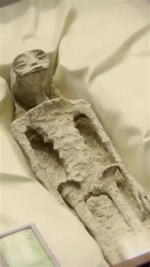 The Terrifying Message Humans Sent to Aliens 👽