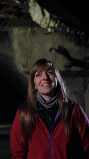 Yugoslavia's 6 BILLION Dollar Secret Bunker! | Underground Marvels | Science Channel