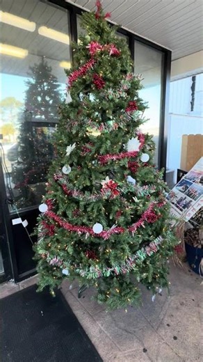 Christmas Tree - Joe Patti’s Seafood