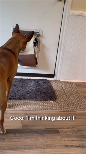 When you were about to stay home but now someone's watching you decide #cocoruby