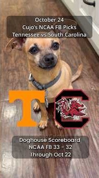 Cujo’s NCAA Football Picks | Tennessee vs South Carolina 🏈 10-24-2026 #CujoCatches