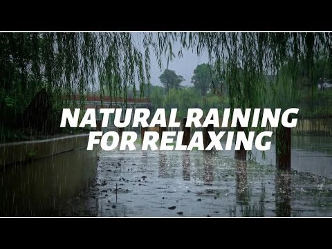 RELAXING WITH NATURAL RAINING SOUND.