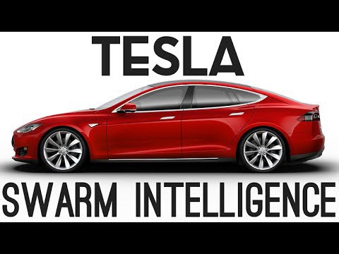 How Tesla’s autopilot interprets the road ahead