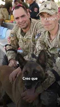 Bart, el perro argentino que salvó a dos niños tras el terremoto en Venezuela