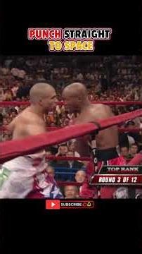 Zab Judah VS. Miguel Cotto | HIGHLIGHTS #boxing #sports