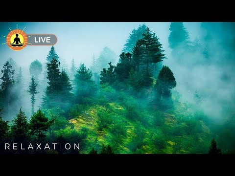 🔴 Fall Into Deep Sleep Easily! Best Relaxing Music for Sleep & Healing Meditation | Insomnia Relief