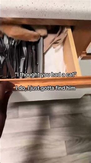 Orange Cat Hides Inside Cutlery Drawer