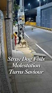 Stray Dogs Foil Alleged Molestation Bid In Coimbatore, CCTV Captures Rescue