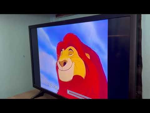 Opening to The Fox and the Hound 1994 VHS (Version #2)