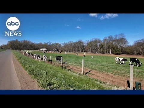 U.S farmers feel the pinch as the war in Iran drags on