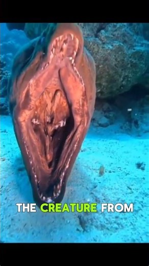 Nature’s Scariest Glitch: The Animal with Two Mouths🐍👽 #natureglitch #shorts