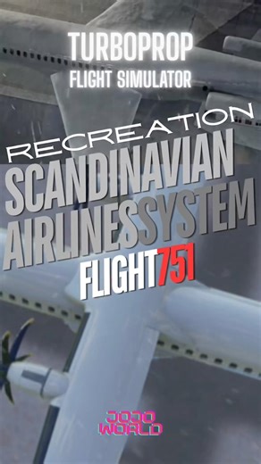 TFS : Scandinavian Airlines System Flight 751