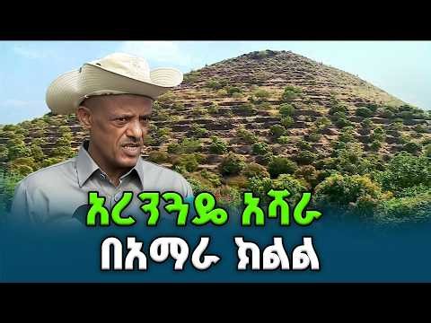 ርዕሰ መስተዳድር አረጋ ከበደ በአማራ ክልል የአረንጓዴ አሻራ መርሃ ግብርን በይፋ አስጀመሩ