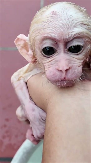 The mother is rubbing the baby's ears.