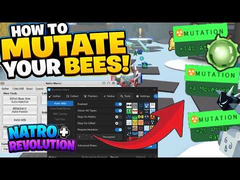 Mutating Bees EXPLAINED - Macro + Revolution Guide | Bee Swarm Simulator