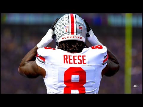 Best LB in College Football || Ohio State LB Arvell Reese Highlights ᴴᴰ