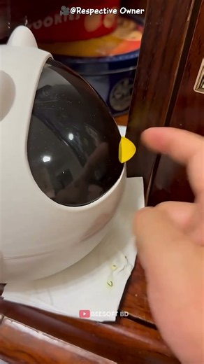 The Parrot Knew the Secret Knock! 🦜😂