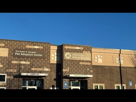 DeKalb County pet owners will have to register new litters in 2026