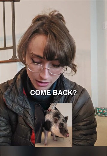 Apollo update 🐖 | apollo